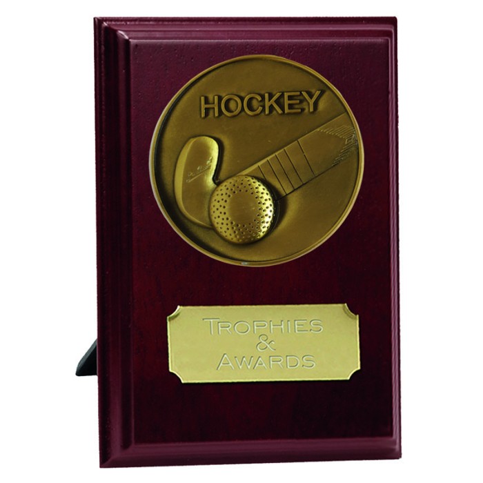 VISION HOCKEY SHIELD - 10CM